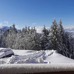  Appartement T2 Edelweiss 1750 Acces Piste Direct Local Alpes Montagne France